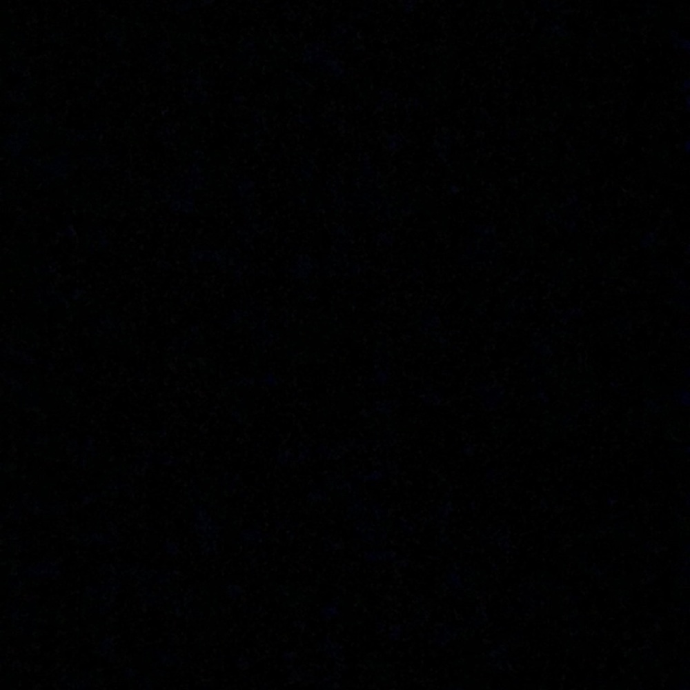 Meet your Posher, Lilli